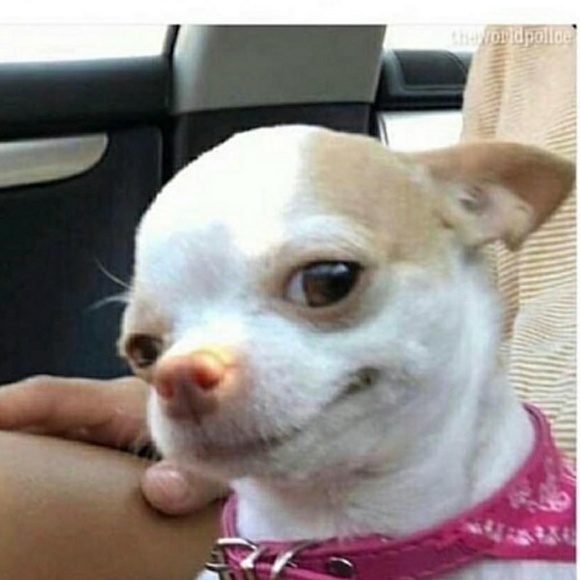 Meet your Posher, Regina - Picture 2 of 2